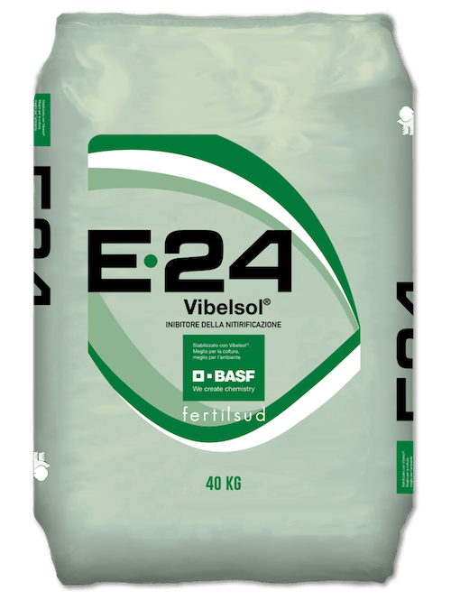 E24
