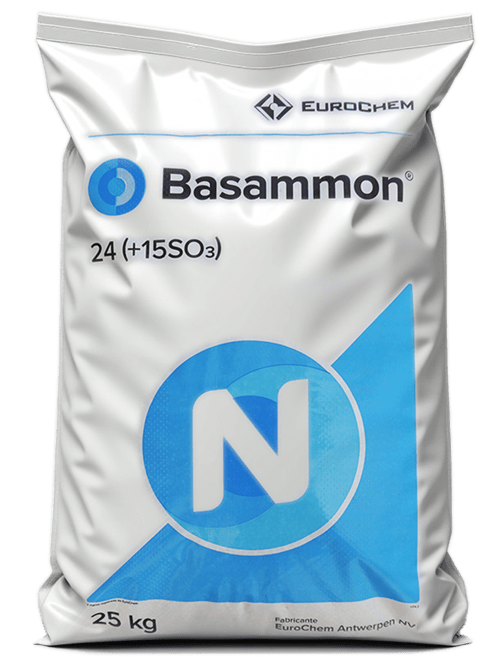 BASAMMON 24-15