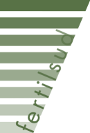 eight stripes