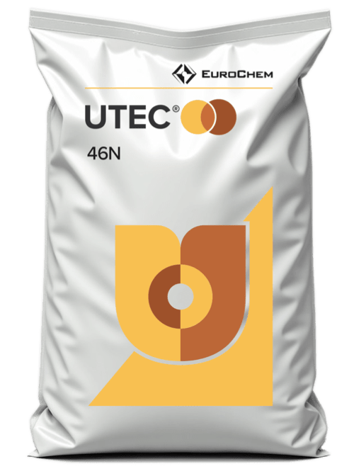UTEC 46