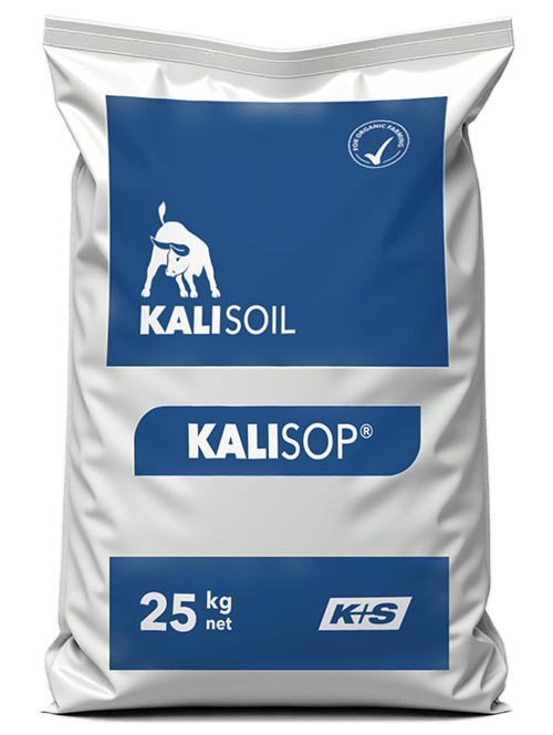 KALISOP