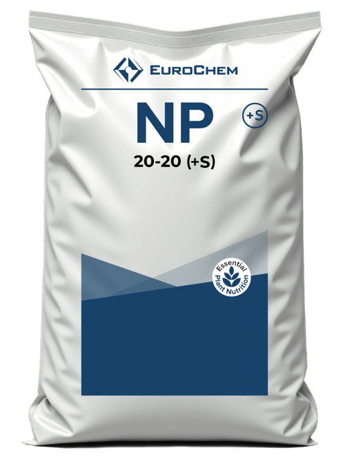 NP 20-20